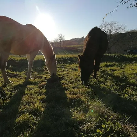 Le Temps Serein Oda ve Kahvaltı