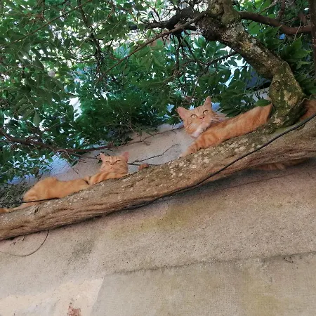 Le Temps Serein Oda ve Kahvaltı