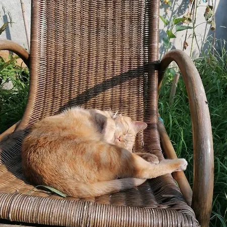 Oda ve Kahvaltı Le Temps Serein *