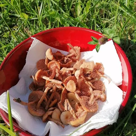 Le Temps Serein Oda ve Kahvaltı