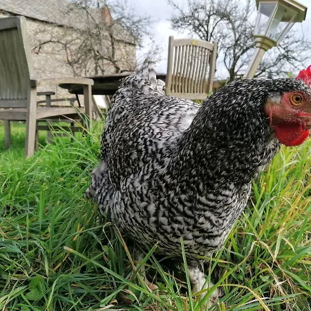 Le Temps Serein Oda ve Kahvaltı Vabre-Tizac