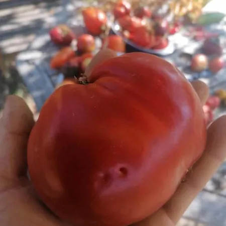 Le Temps Serein Oda ve Kahvaltı Vabre-Tizac