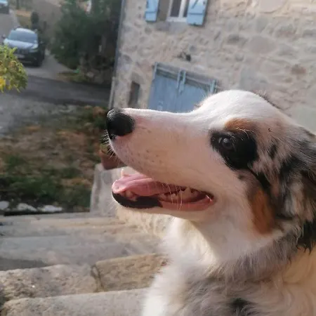 Le Temps Serein Vabre-Tizac