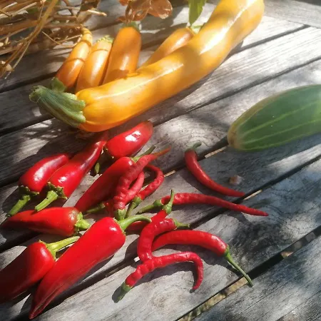 Oda ve Kahvaltı Le Temps Serein *