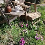 Oda ve Kahvaltı Le Temps Serein Et Tables D'hote