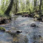 Le Temps Serein Et Tables D'hote Oda ve Kahvaltı Vabre-Tizac