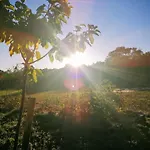 Le Temps Serein Et Tables D'hote Oda ve Kahvaltı Vabre-Tizac