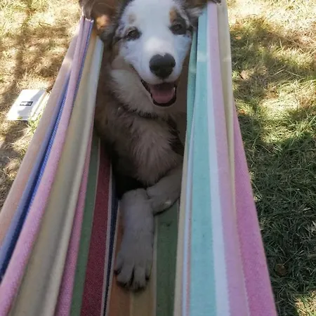 Le Temps Serein Bed & Breakfast