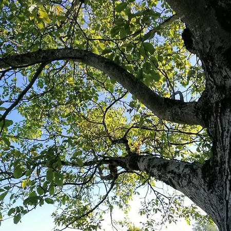 Le Temps Serein * Vabre-Tizac