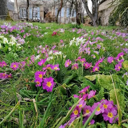 Le Temps Serein Vabre-Tizac