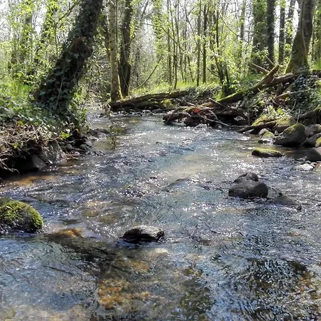 Le Temps Serein Bed & Breakfast Vabre-Tizac