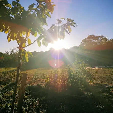 Le Temps Serein Bed & Breakfast Vabre-Tizac