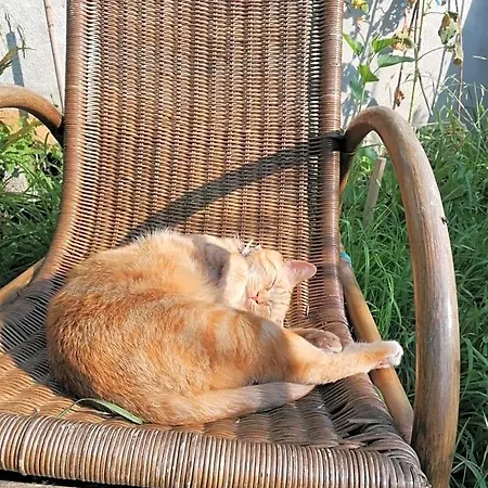Le Temps Serein Et Tables D'hote Bed & Breakfast