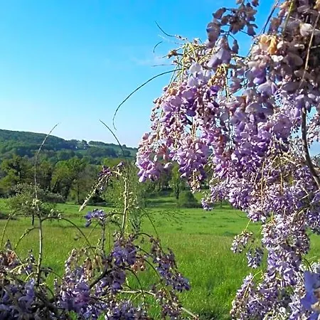 Panzió Le Temps Serein Et Tables D'hote Vabre-Tizac