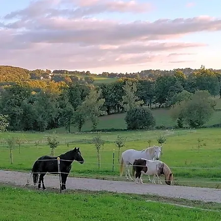 Le Temps Serein Et Tables D'hote Bed & Breakfast Vabre-Tizac