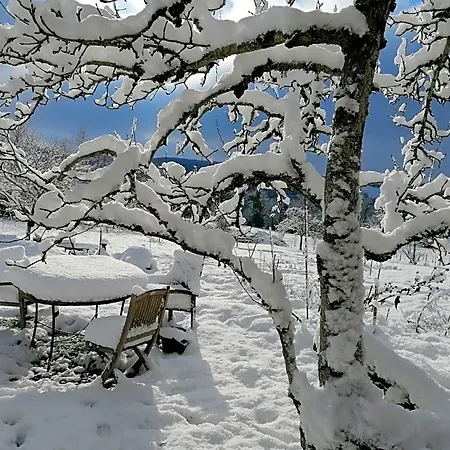 Le Temps Serein Et Tables D'hote Vabre-Tizac