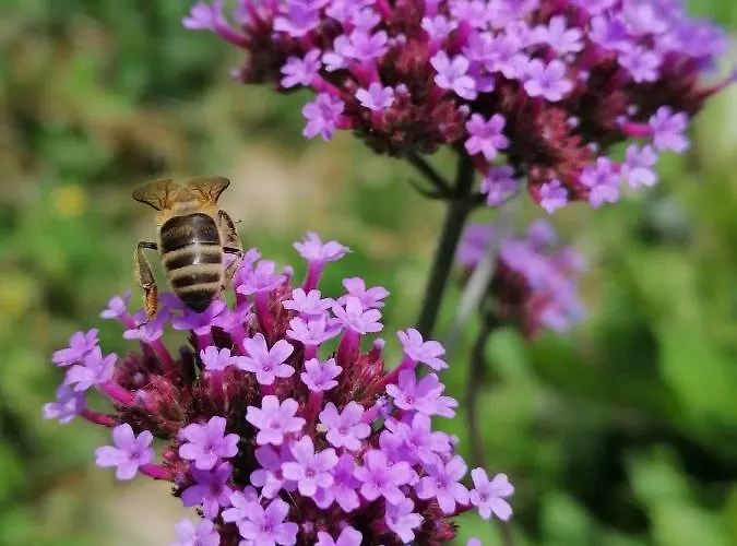 Le Temps Serein Bed & Breakfast