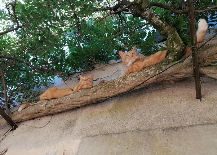 Le Temps Serein Bed & Breakfast