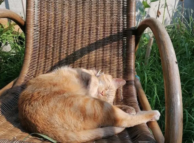 Bed & Breakfast Le Temps Serein *