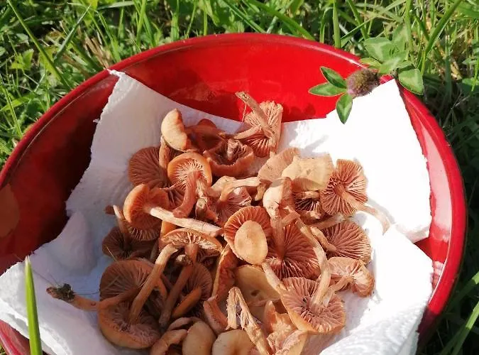 Le Temps Serein Bed & Breakfast