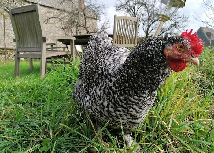 Le Temps Serein Bed & Breakfast Vabre-Tizac