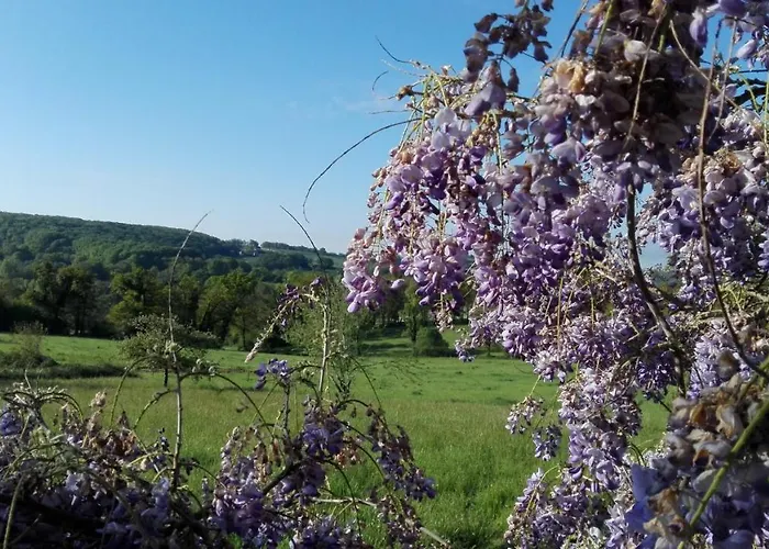 Le Temps Serein Bed & Breakfast *