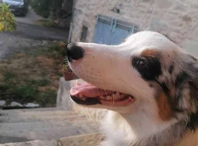 Le Temps Serein Vabre-Tizac