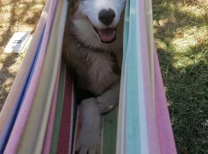 Le Temps Serein Bed & Breakfast