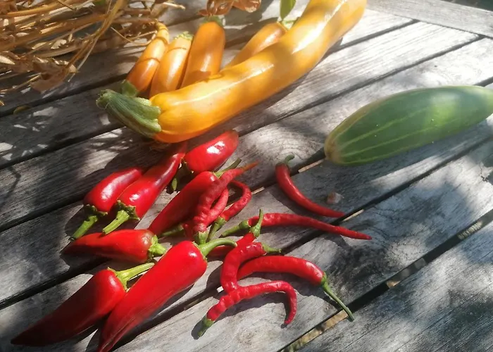 Bed & Breakfast Le Temps Serein *