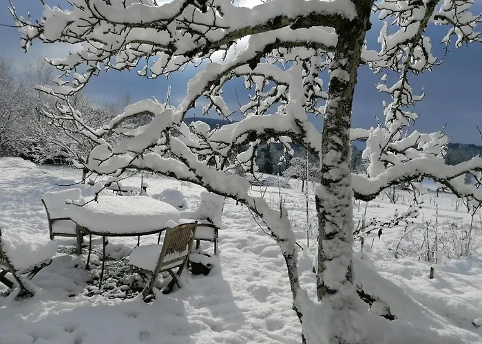 Bed & Breakfast Le Temps Serein *