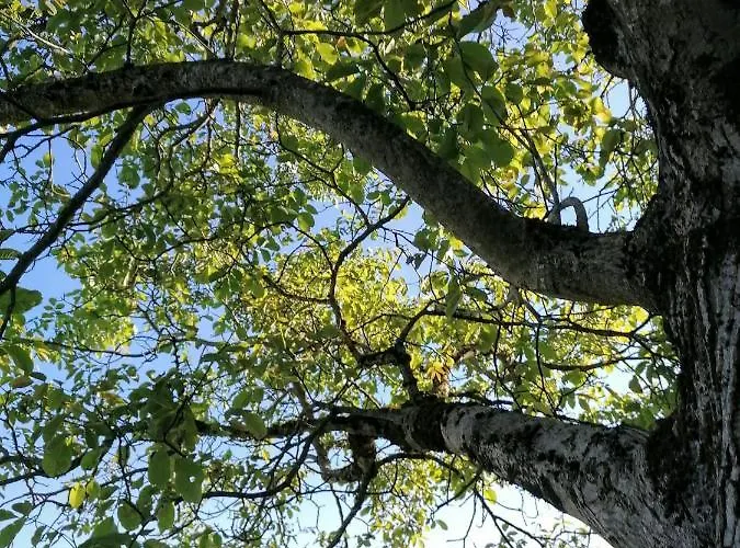 Le Temps Serein * Vabre-Tizac