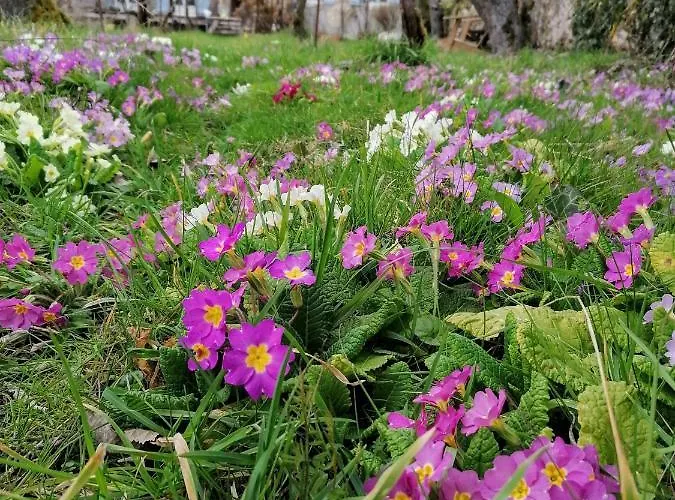 Le Temps Serein Vabre-Tizac