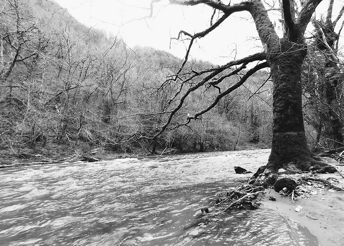 Le Temps Serein Vabre-Tizac