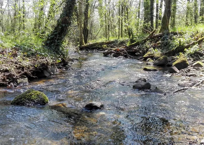 Le Temps Serein Bed & Breakfast Vabre-Tizac