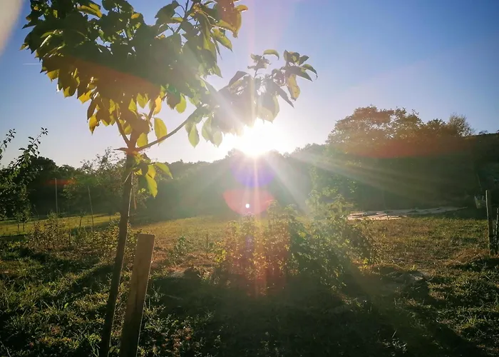 Le Temps Serein Bed & Breakfast Vabre-Tizac